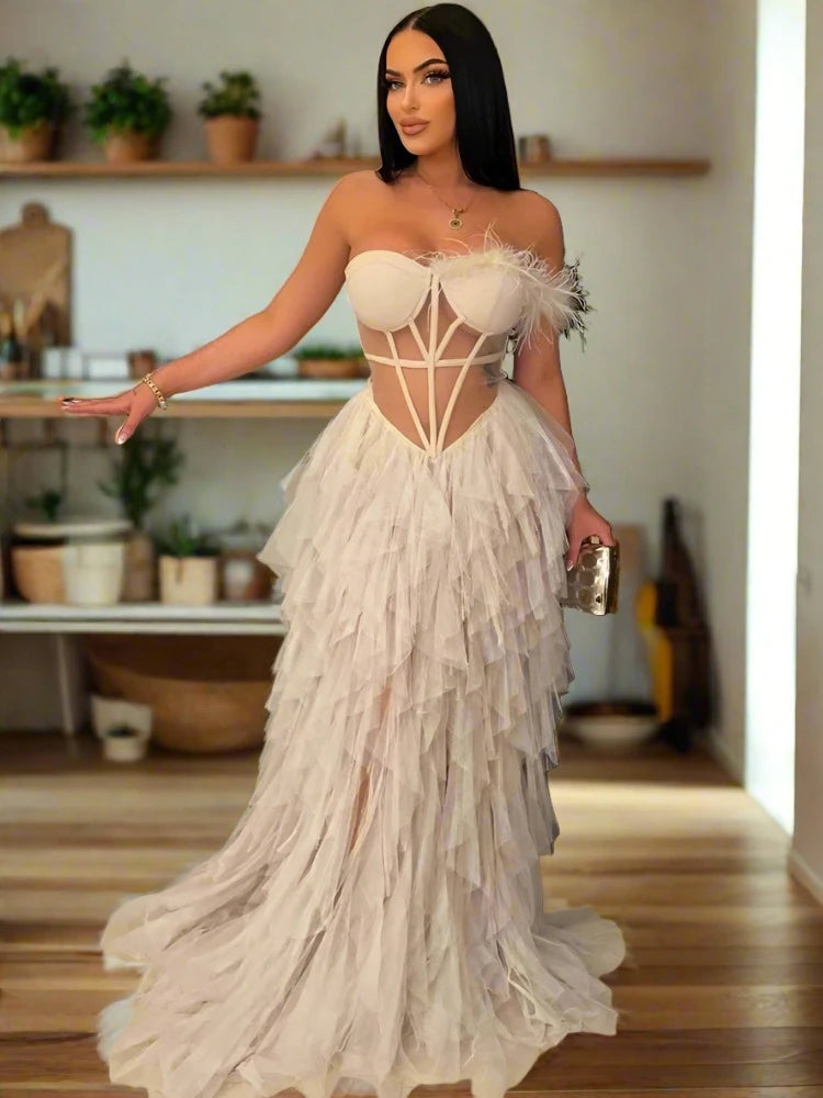 Feathered Fantasy: Sheer Elegance Maxi Gown