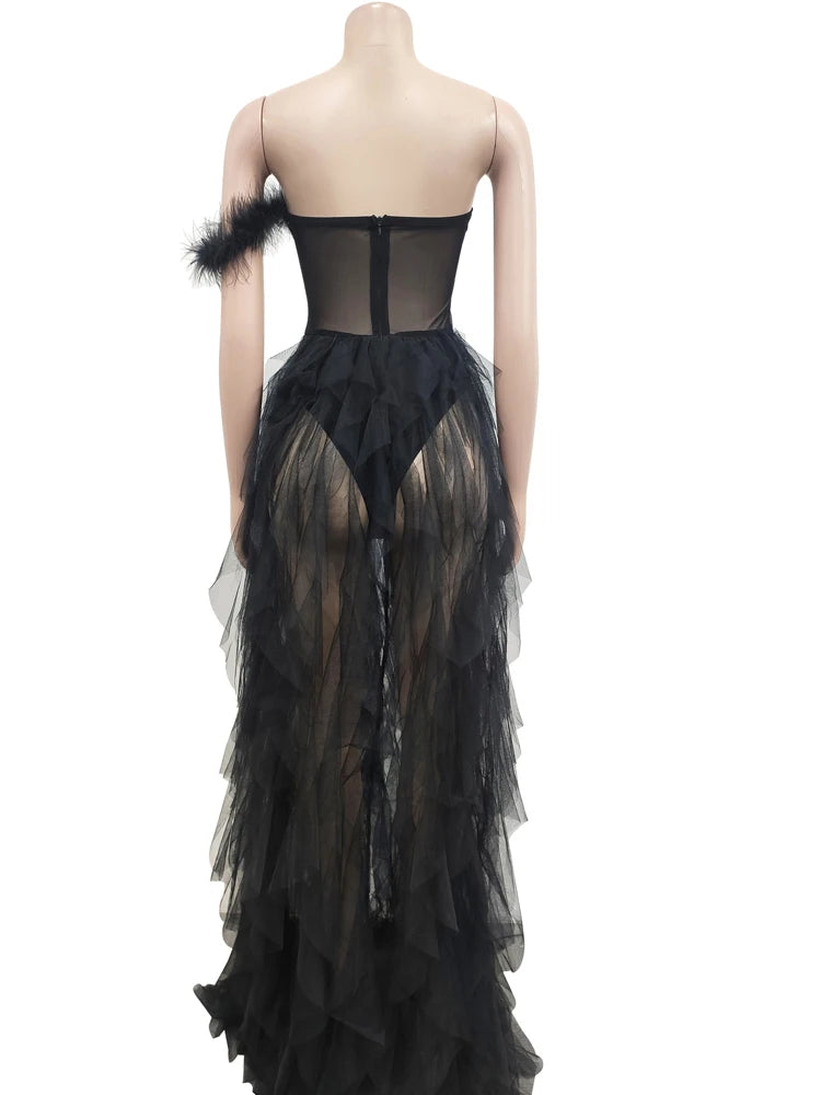 Feathered Fantasy: Sheer Elegance Maxi Gown
