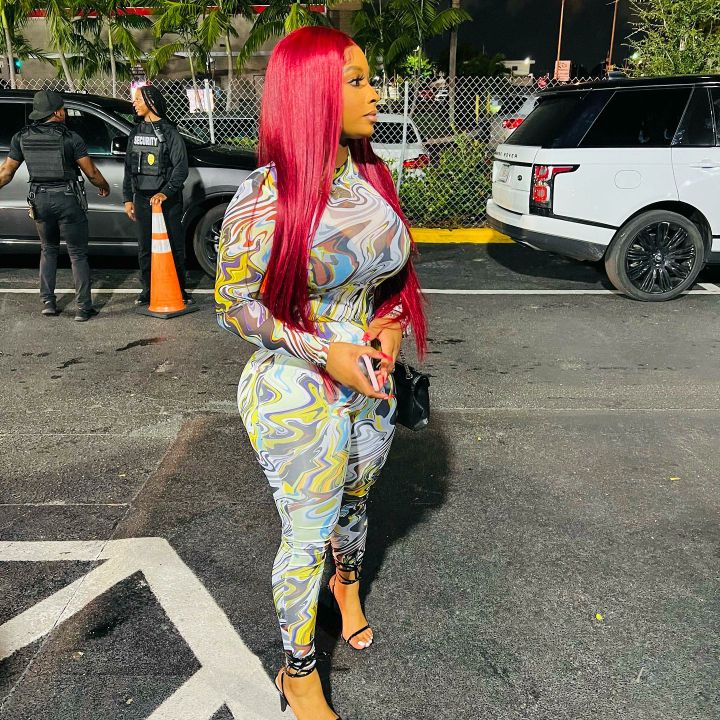 Crimson Charisma: Sheer Luxe Strands Wig by BHG